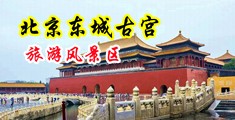 艹少妇的淫穴中国北京-东城古宫旅游风景区